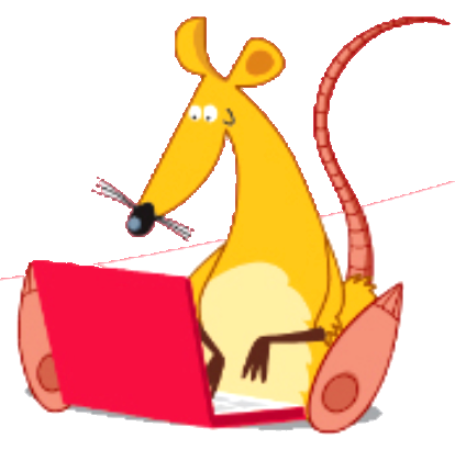 Rat de la bibliotheque
